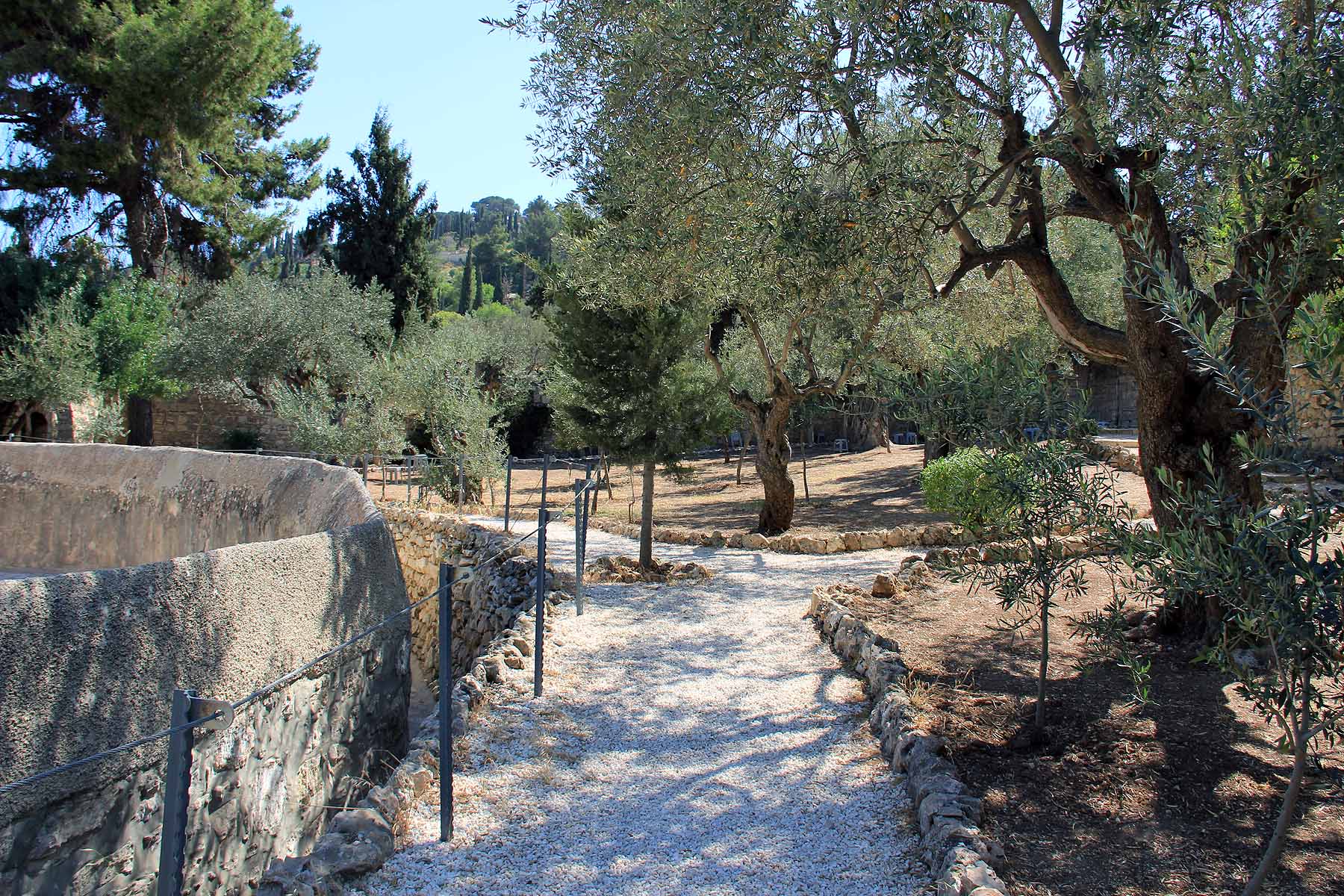 Gethsemane image 8